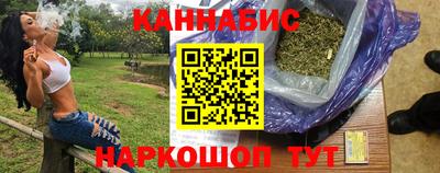 крисы Обь