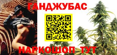 крисы Обь