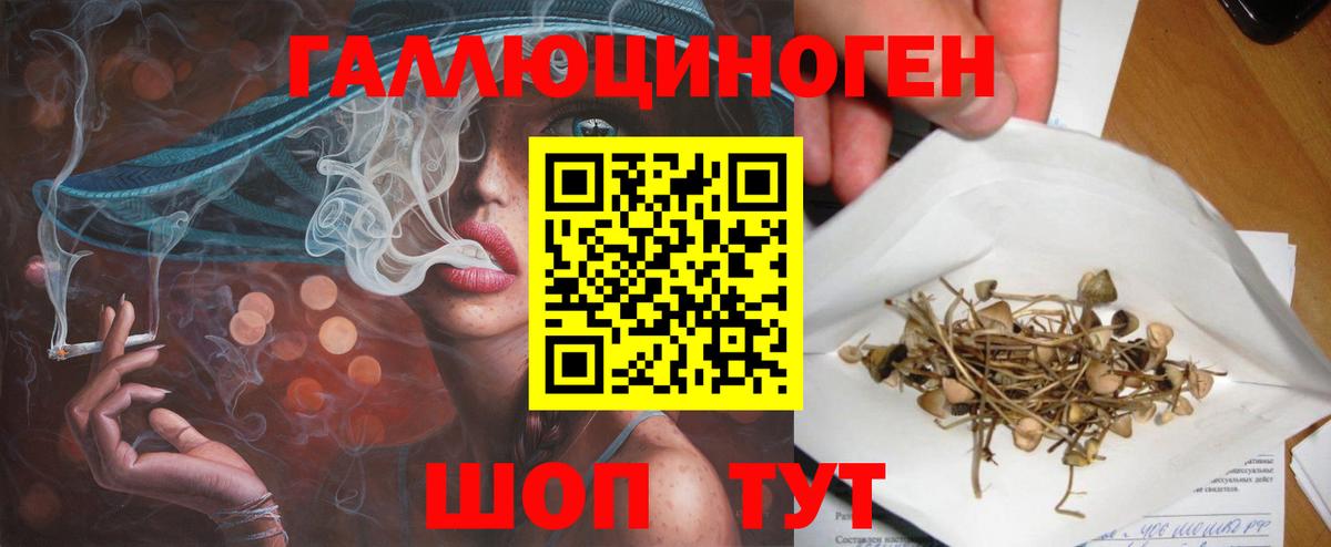 Псилоцибиновые грибы GOLDEN TEACHER Артёмовский