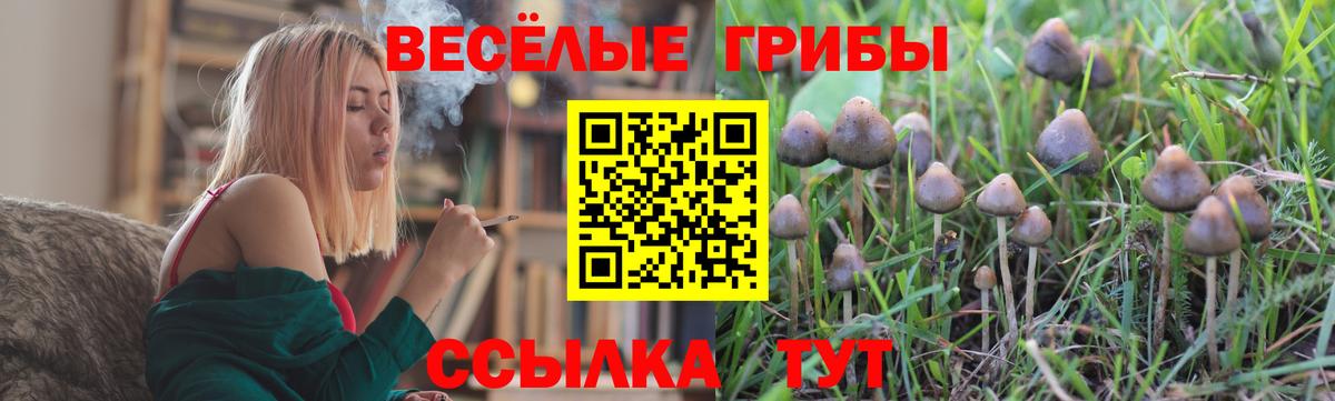 Галлюциногенные грибы Psilocybine cubensis  Вход с VPN  Псилоцибиновые грибы MAGIC MUSHROOMS  Артёмовский 